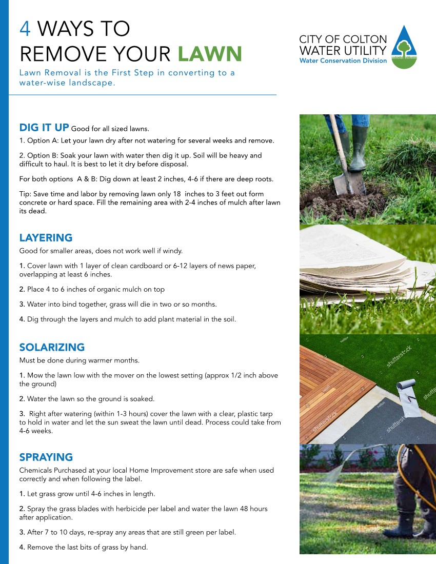 Turf removal flyer