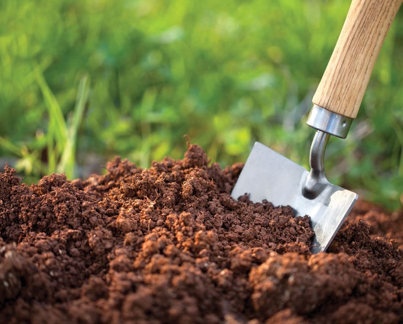 WATER-WISE-LANDSCAPE-2