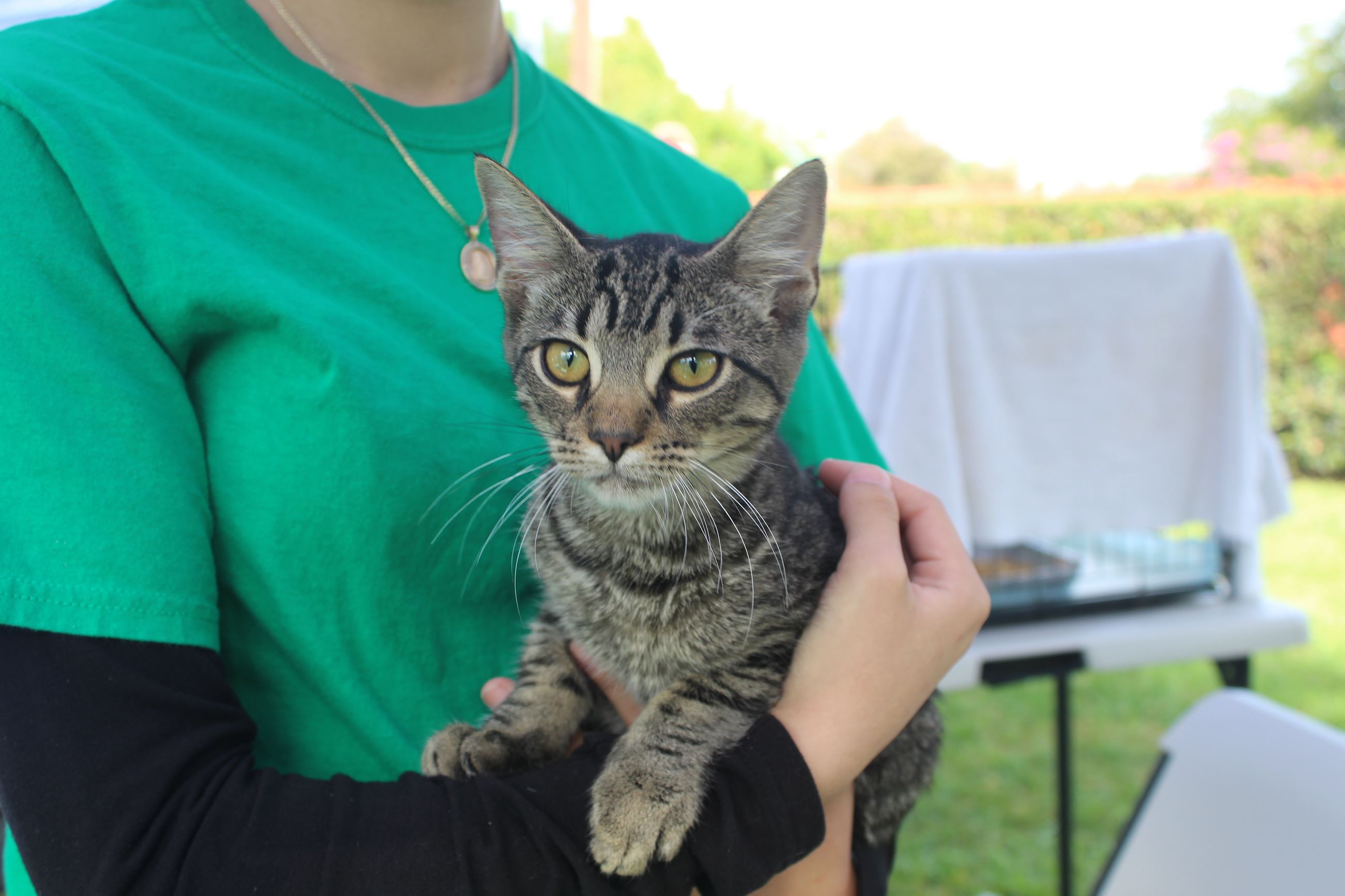 PAWS at Fleming 2025 (93)